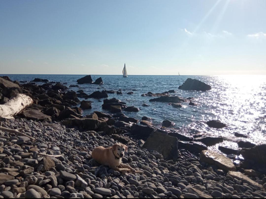 Cluxury-Torre Dei Saraceni Boutique Apt By The Sea Beach, Pool,Private Jacuzzi, Parking Черво Екстериор снимка
